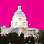 Pink Capitol